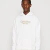 Calvin Klein New York Logo Hoodie - Hoodie - Bright White -About You Winkel 486efafc281d4c9a943b38422a836f61