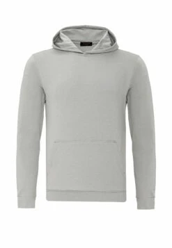 Regular Fit - Hoodie - Stone -About You Winkel 5483992e2632491289ed36dea223ace6