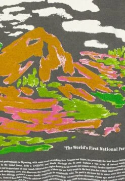 BDG Urban Outfitters Park County Landscape Hoodie Unisex - Hoodie - Khaki -About You Winkel 60f384a1cc5f40629a7b9728c99e92fb