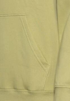 WEEKDAY Standard Hoodie - Hoodie - Avocado 7 WEEKDAY Standard Hoodie - Hoodie - Avocado -About You Winkel 65e717a1378a45f89bb271c4c66370ad