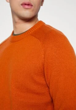 Selected Homme Slhnewcoban Crew Neck - Trui - Bombay Brown/Bone White -About You Winkel 7c9dc7ba0e1547dd83959370d2dfdf6e