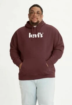 Levi's® Plus Relaxed Graphic Poster - Hoodie - Neutrals