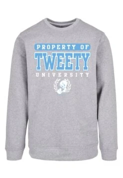F4NT4STIC Looney Tunes Tweety Property Of University - Sweater - Heather Grey 14 F4NT4STIC Looney Tunes Tweety Property Of University - Sweater - Heather Grey -About You Winkel e674197ceea349b9be91cab33994c235
